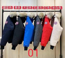 Picture of Canada Goose Down Jackets _SKUCanadaGooseS-2XL26yr0137915